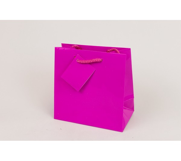 Glossy Tote bag with Rope Handles 6" x 3" x 6"